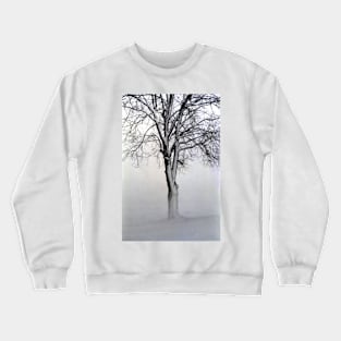 The Winter Tree Crewneck Sweatshirt